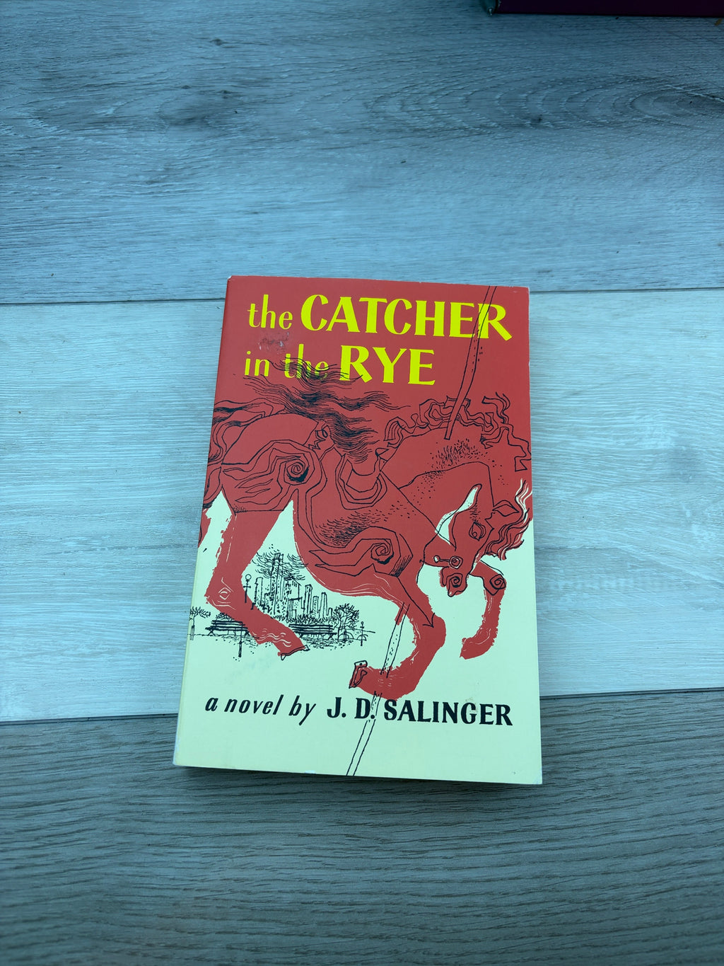 The Catcher in the Rye