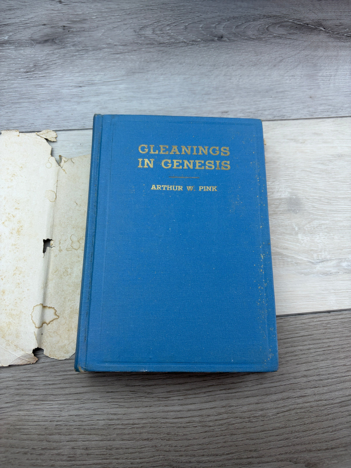 Gleanings in Genesis