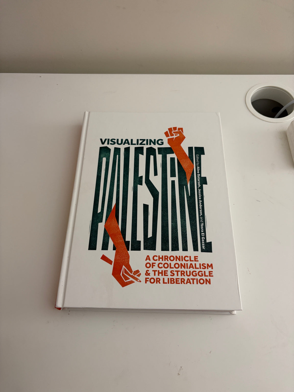 Visualizing Palestine