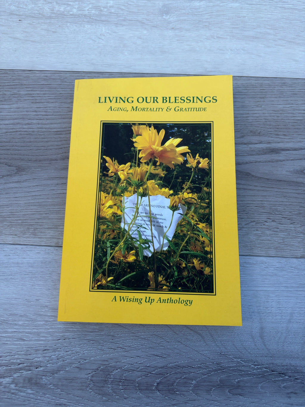 Terror & Transformation: The Frontline of Pluralism