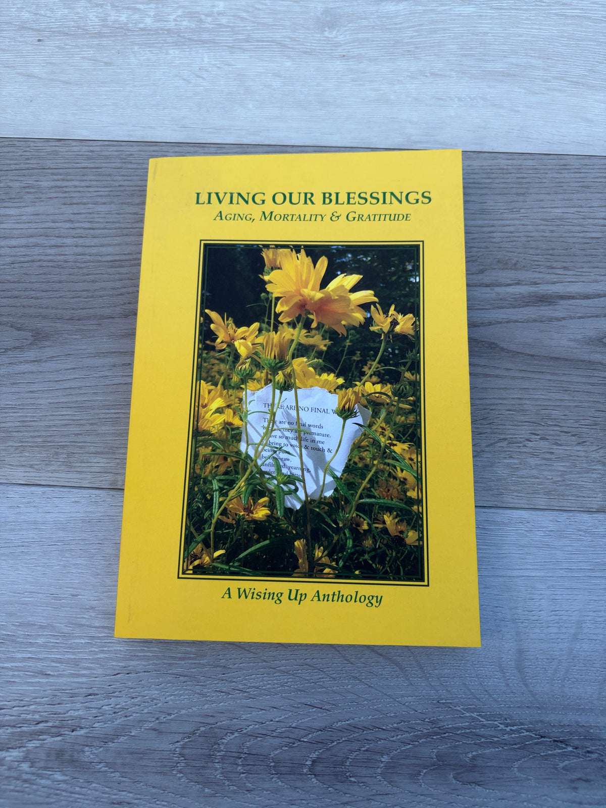Terror & Transformation: The Frontline of Pluralism