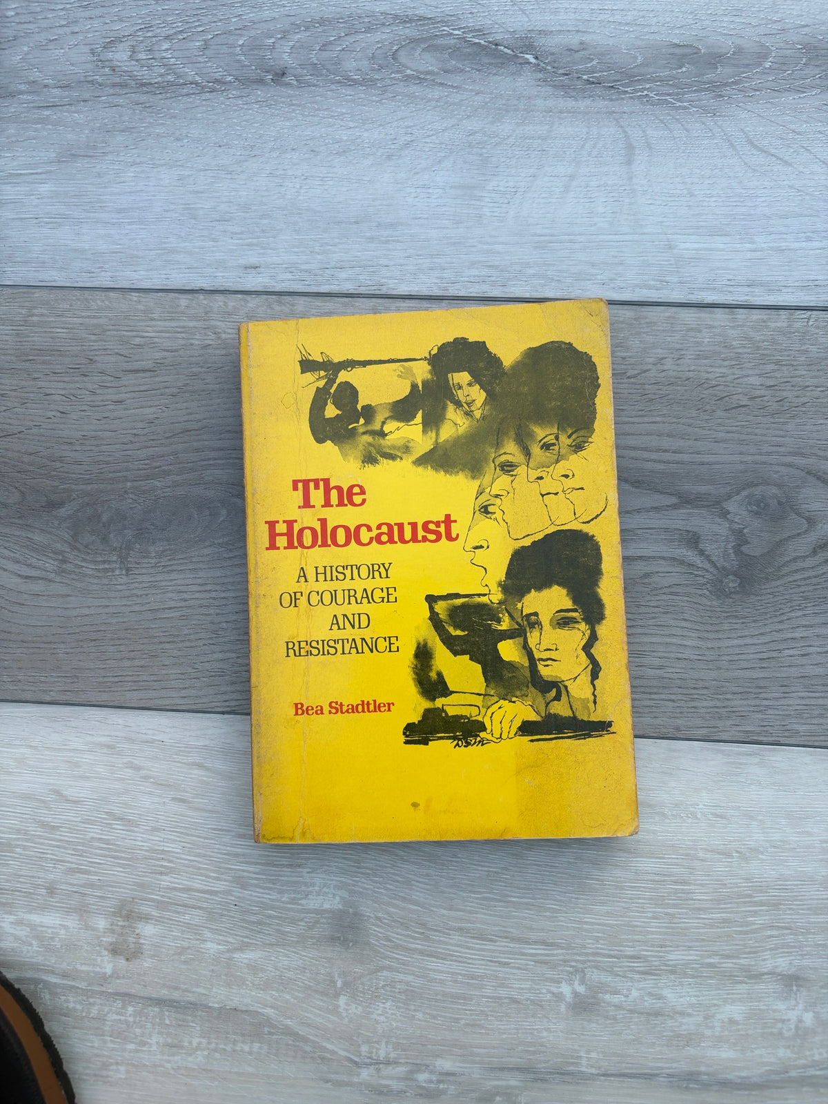 The Holocaust: A History of Courage and Resistance