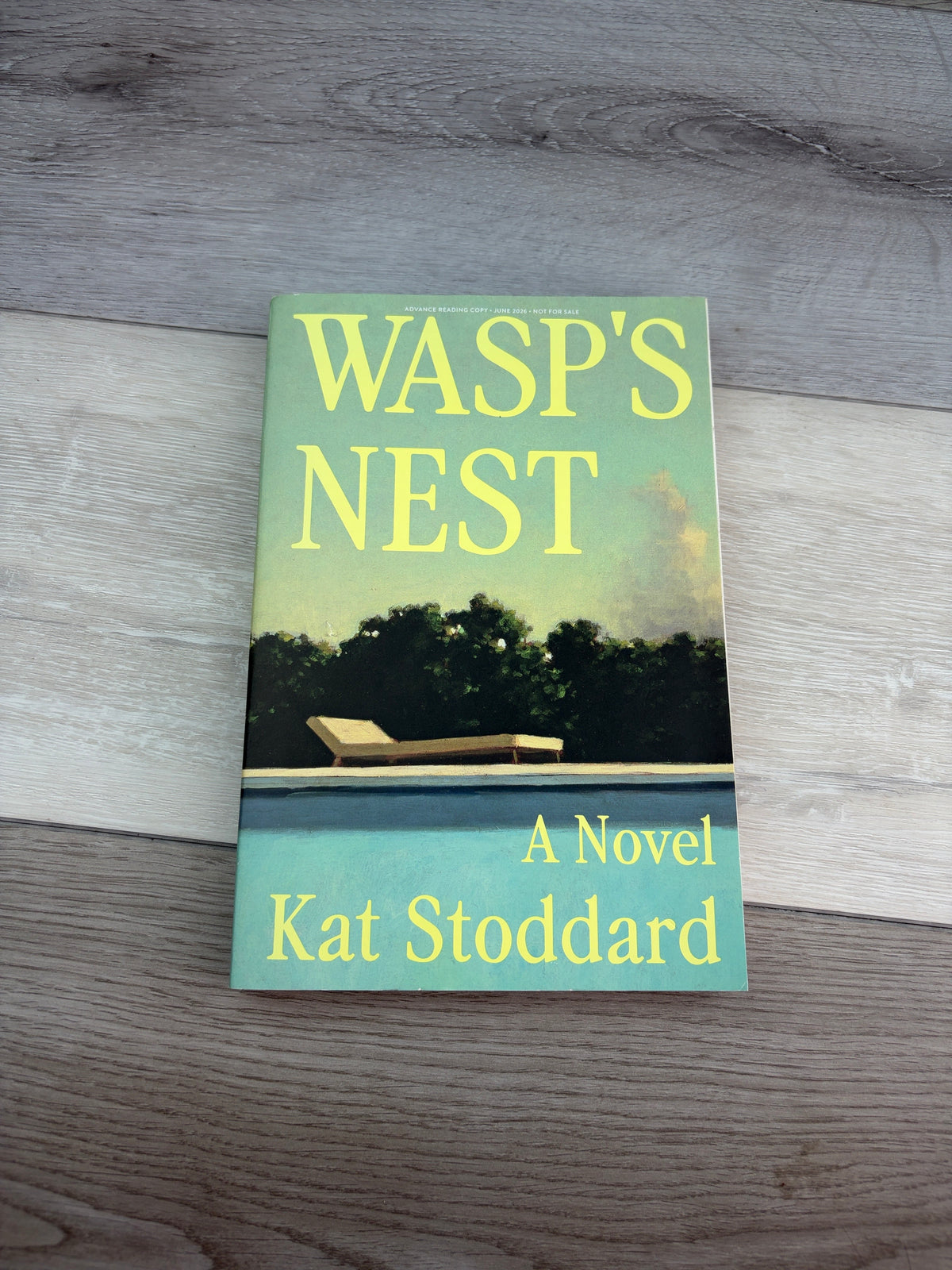 Wasp's Nest