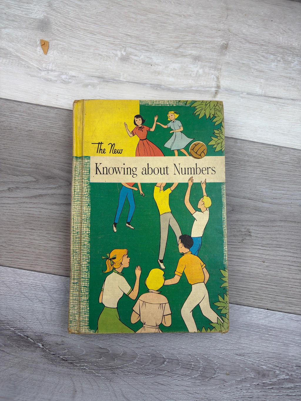 The New Knowing about Numbers