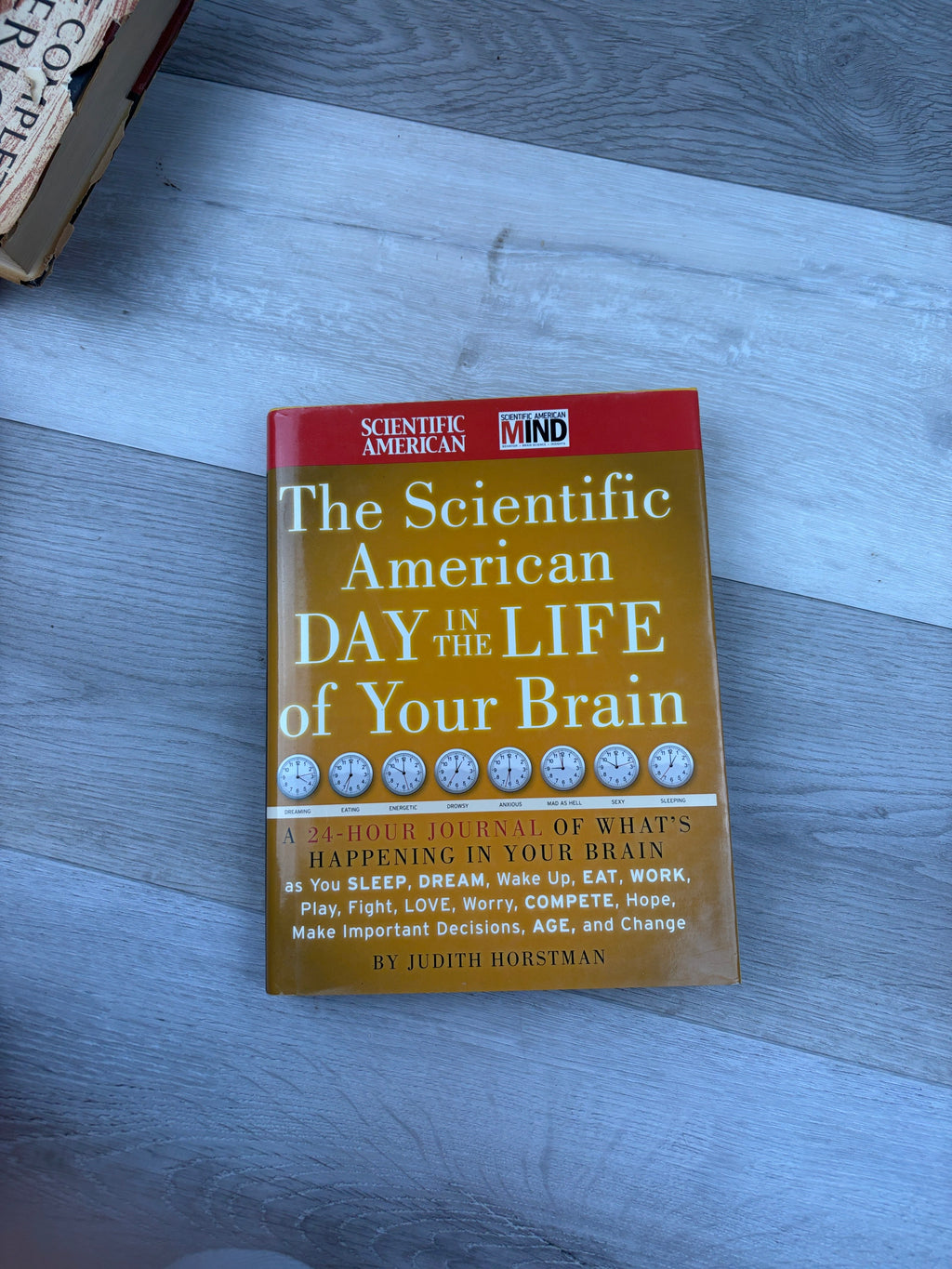 The Scientific American Day in the Life of Your Brain