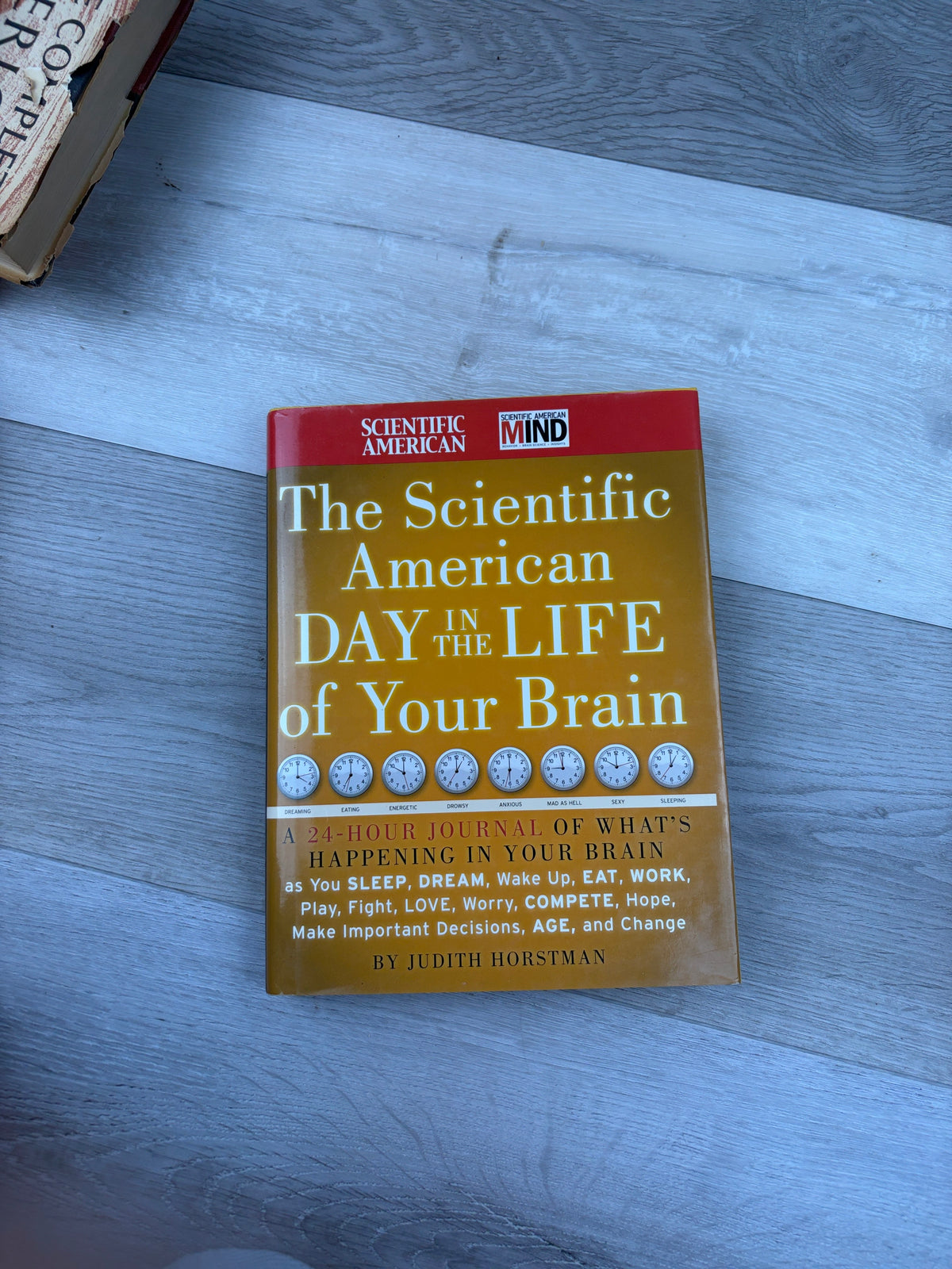 The Scientific American Day in the Life of Your Brain