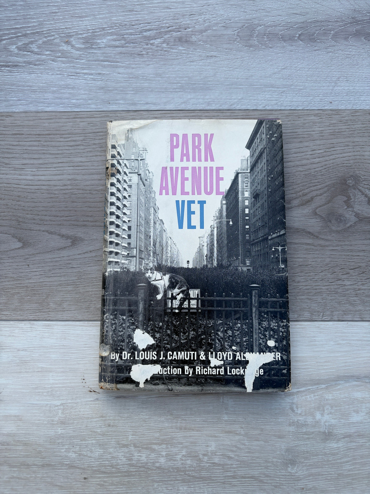 Park Avenue Vet