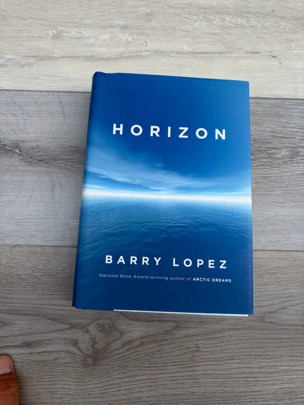 Horizon