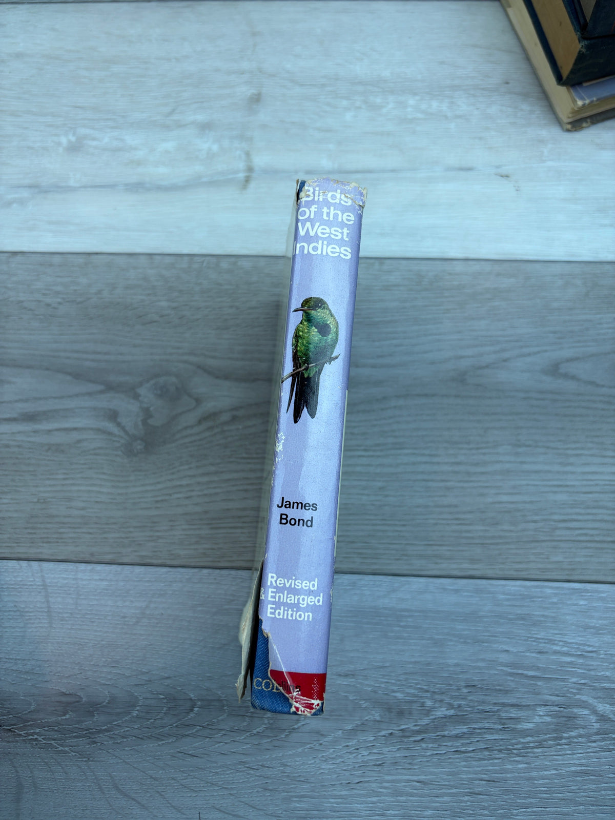 Birds of the West Indies