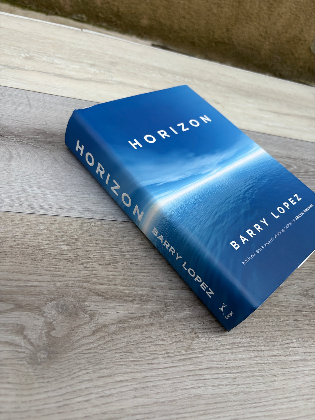 Horizon