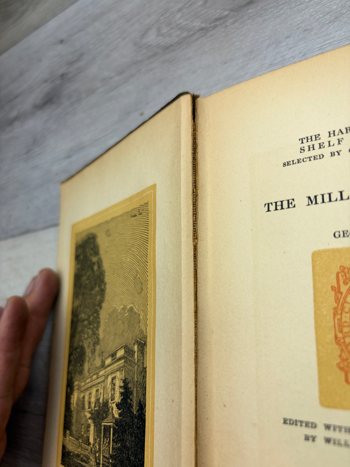 The Mill on the Floss