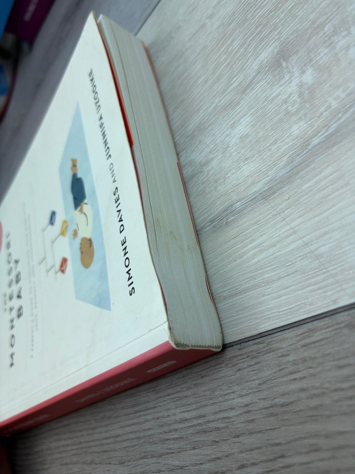 The Montessori Baby