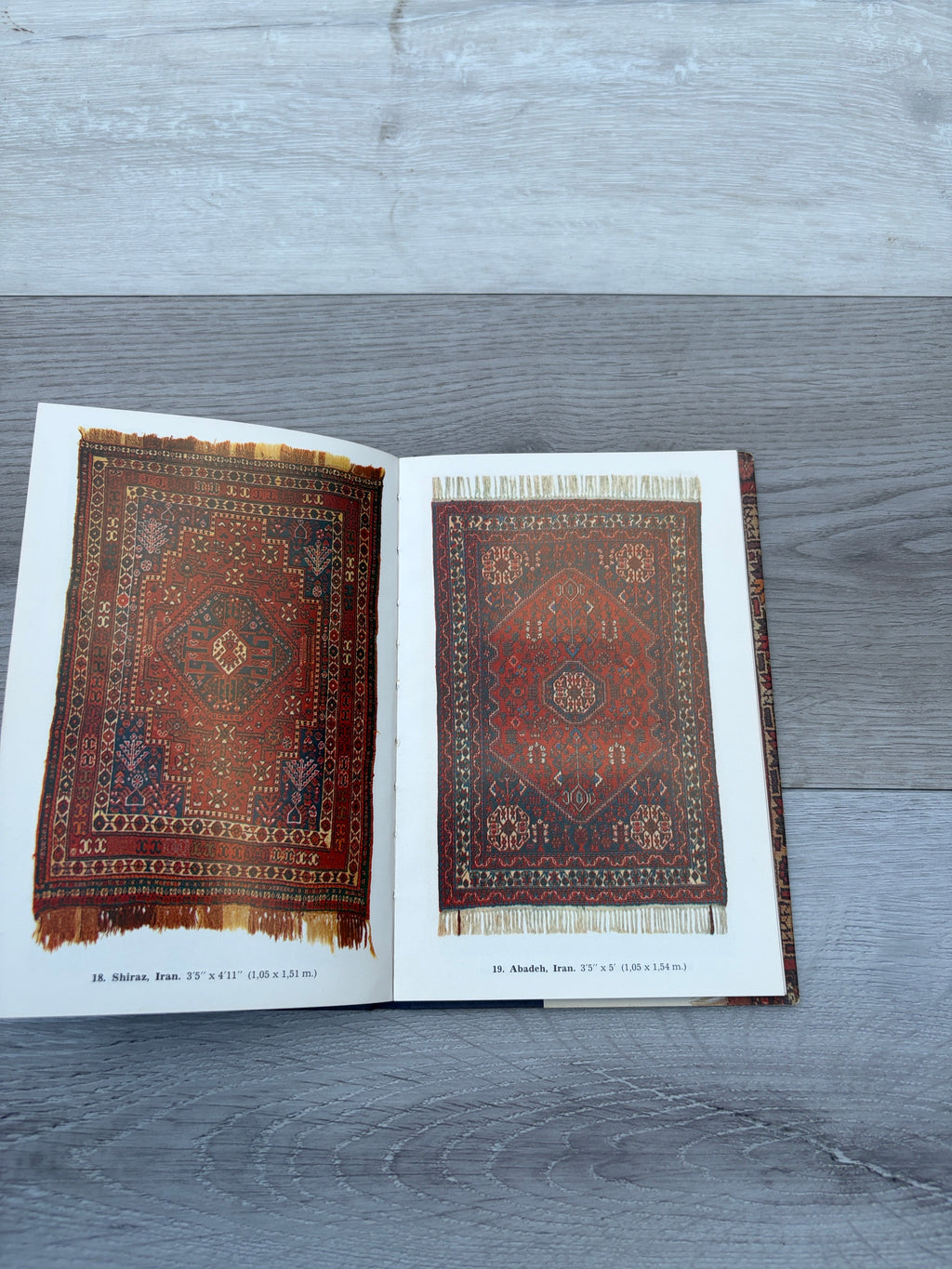 Oriental Rugs in Colour