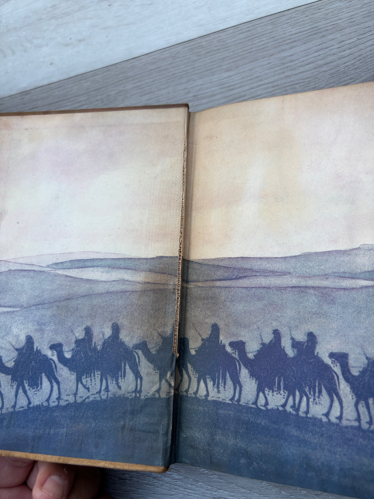 Revolt in the Desert