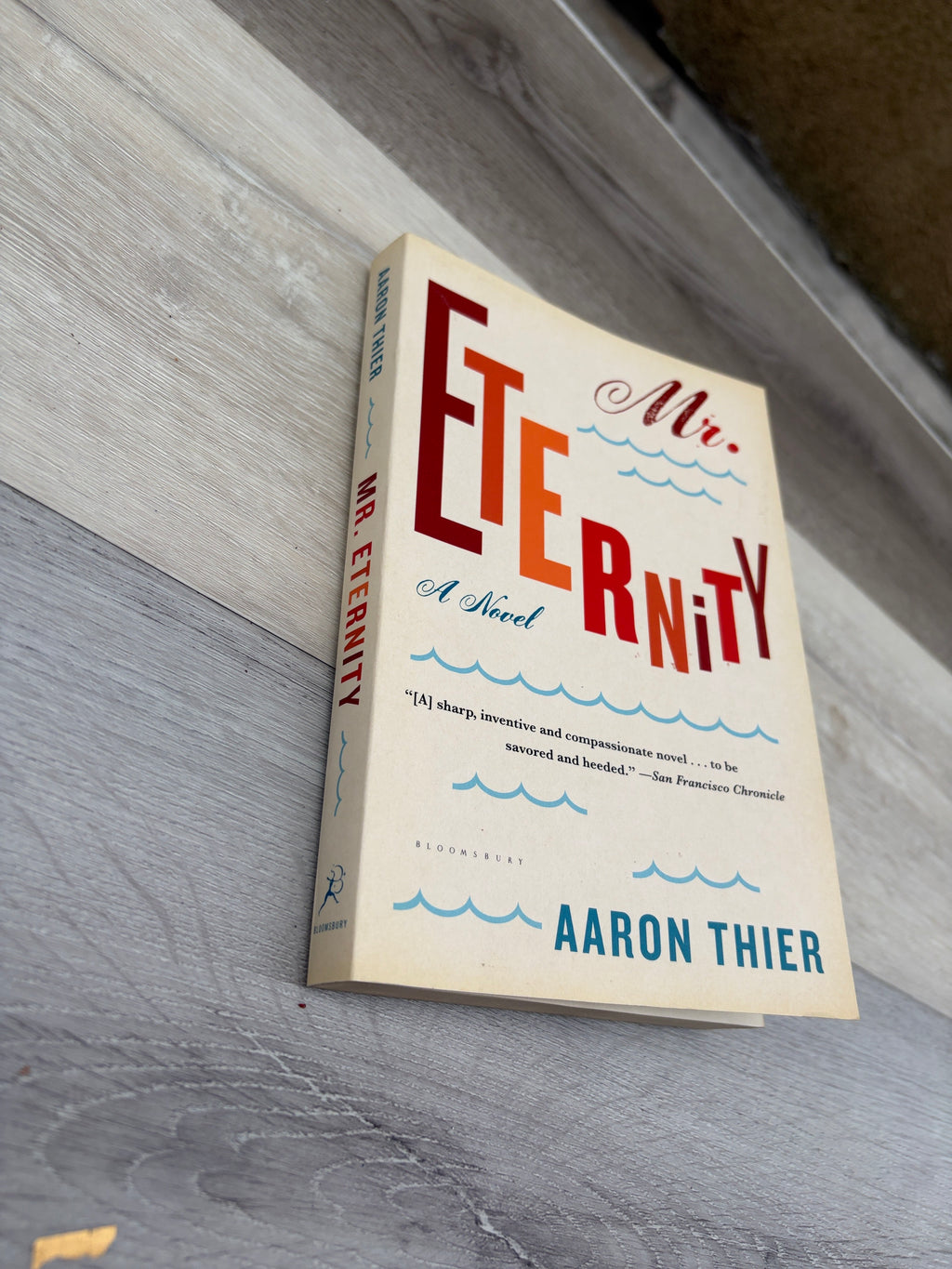 Mr. Eternity: A Novel