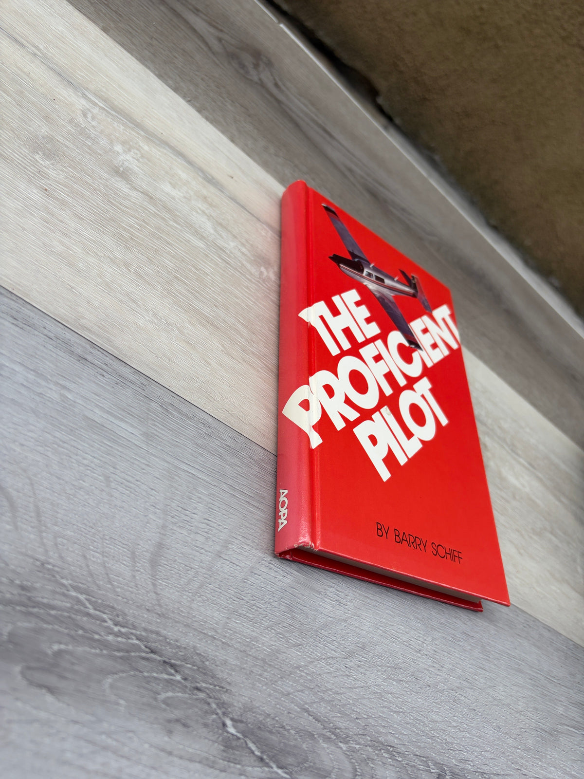 The Pilot