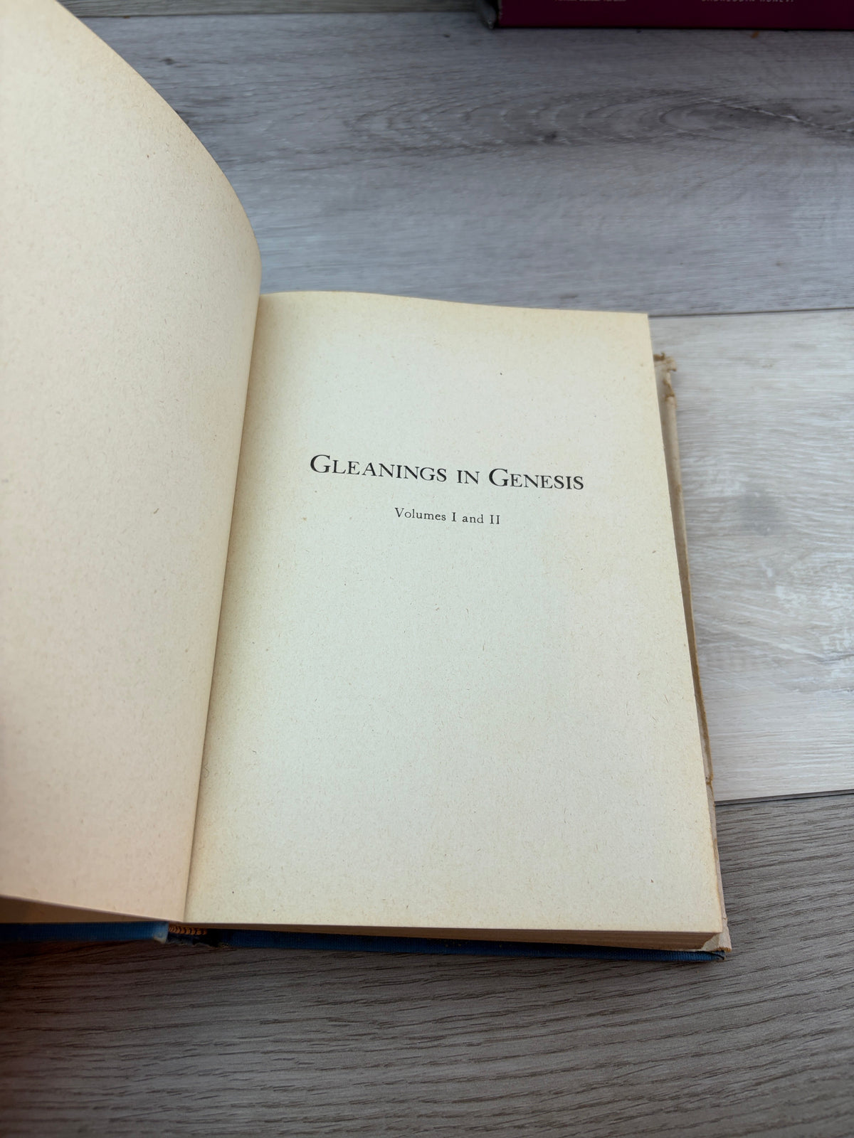 Gleanings in Genesis