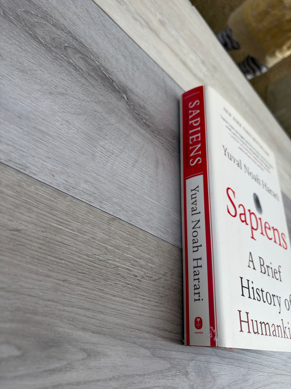 Sapiens: A Brief History of Humankind