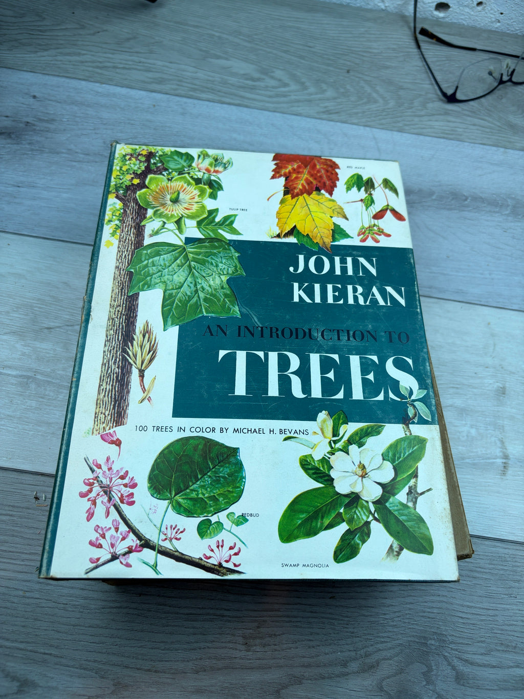 An Introduction to Trees (3 Books)