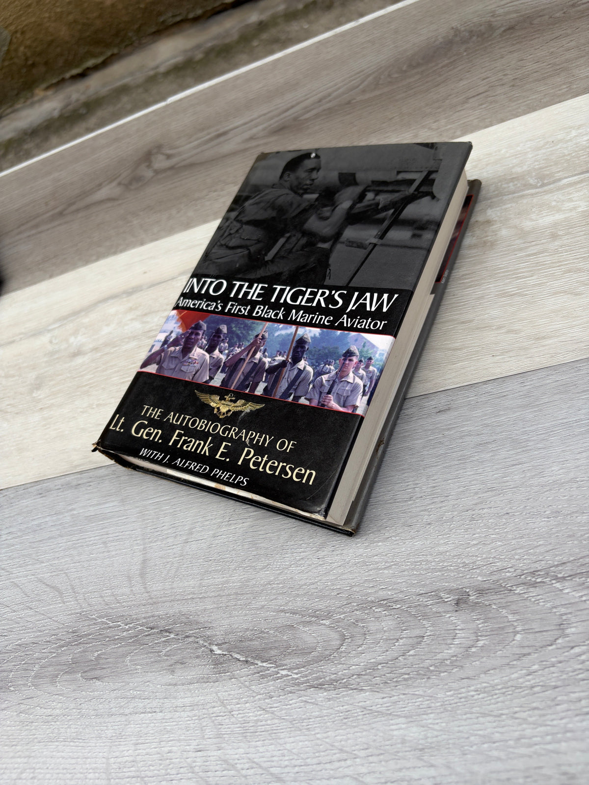 Into the Tiger's Jaw: America's First Black Marine Aviator