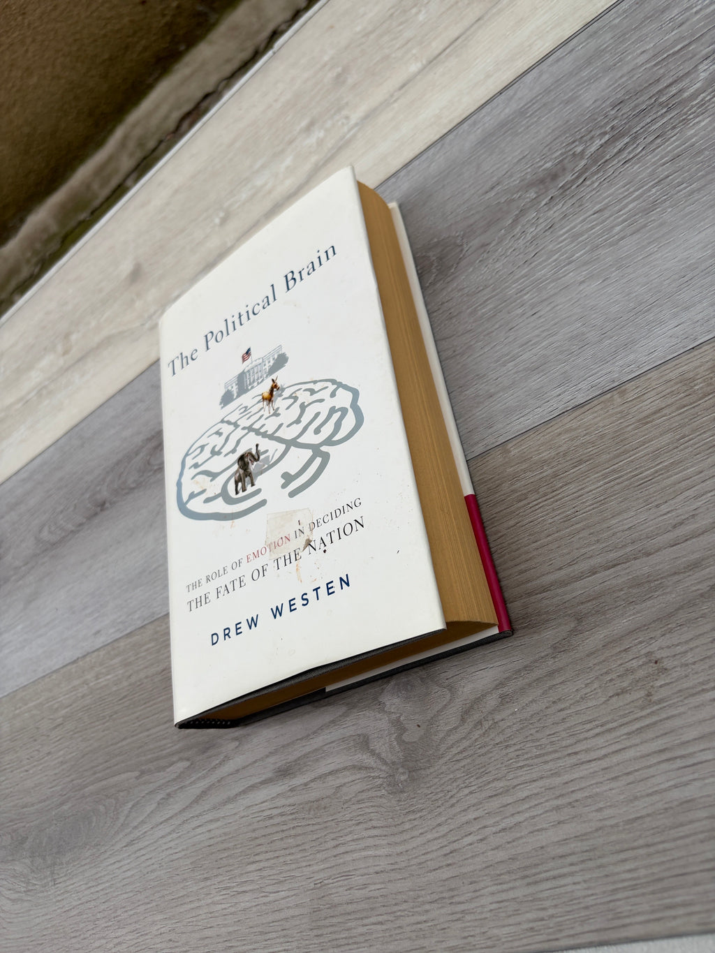 The Political Brain: The Role of Emotion in Deciding the Fate of the Nation