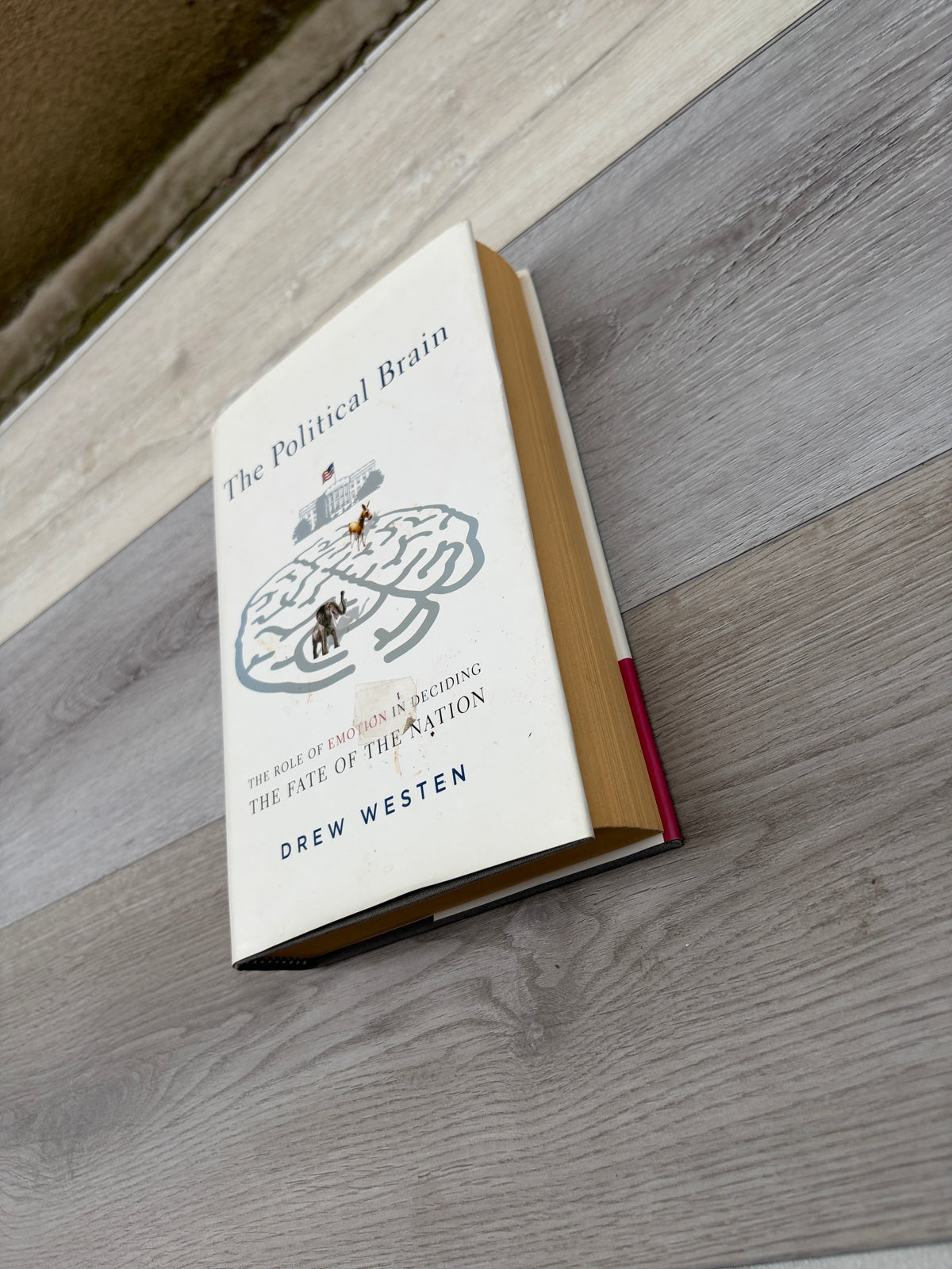 The Political Brain: The Role of Emotion in Deciding the Fate of the Nation