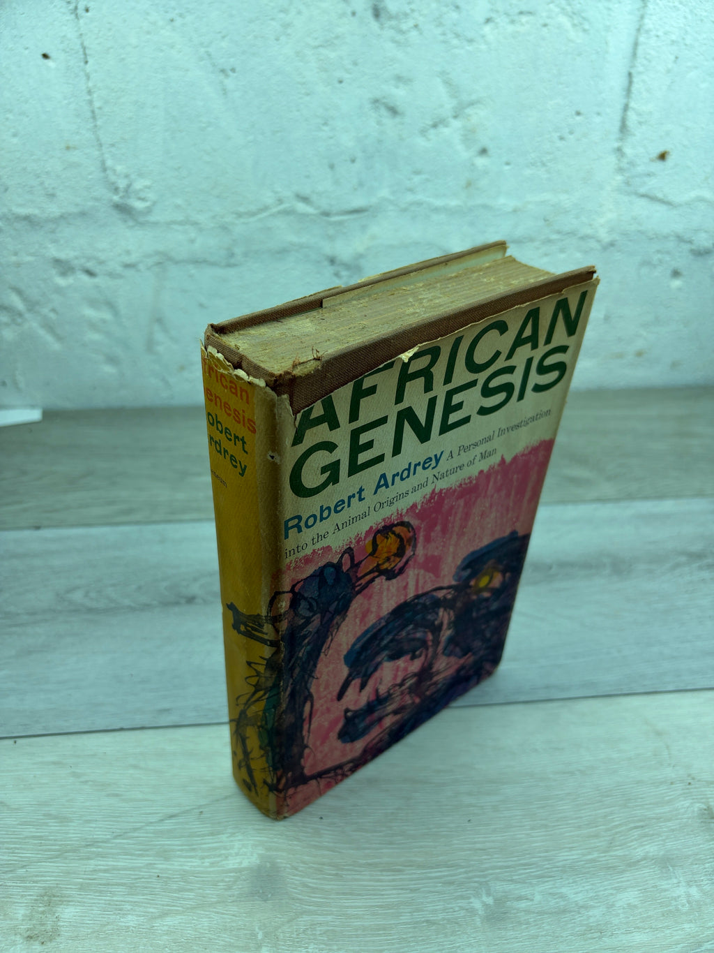 African Genesis
