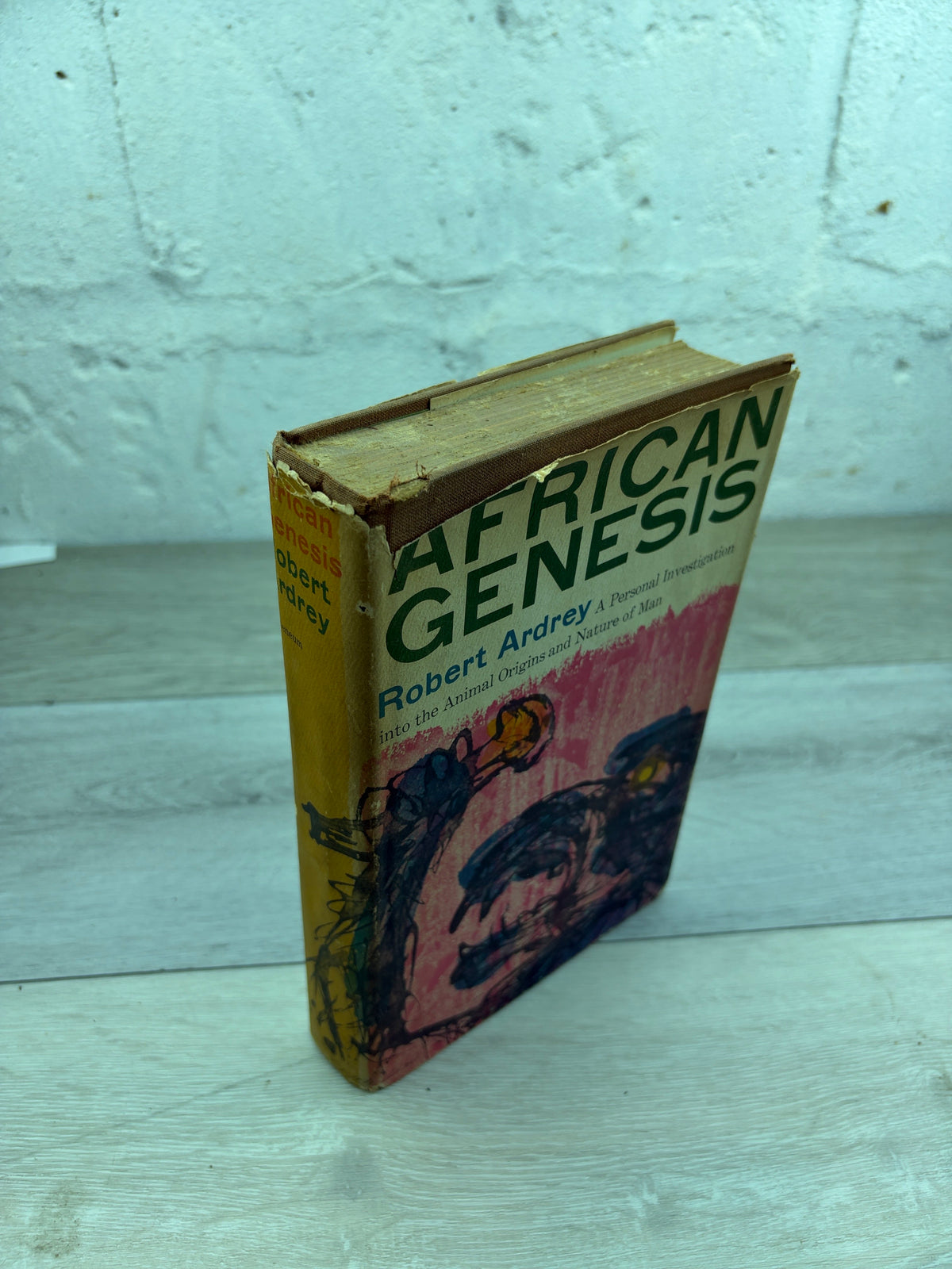 African Genesis