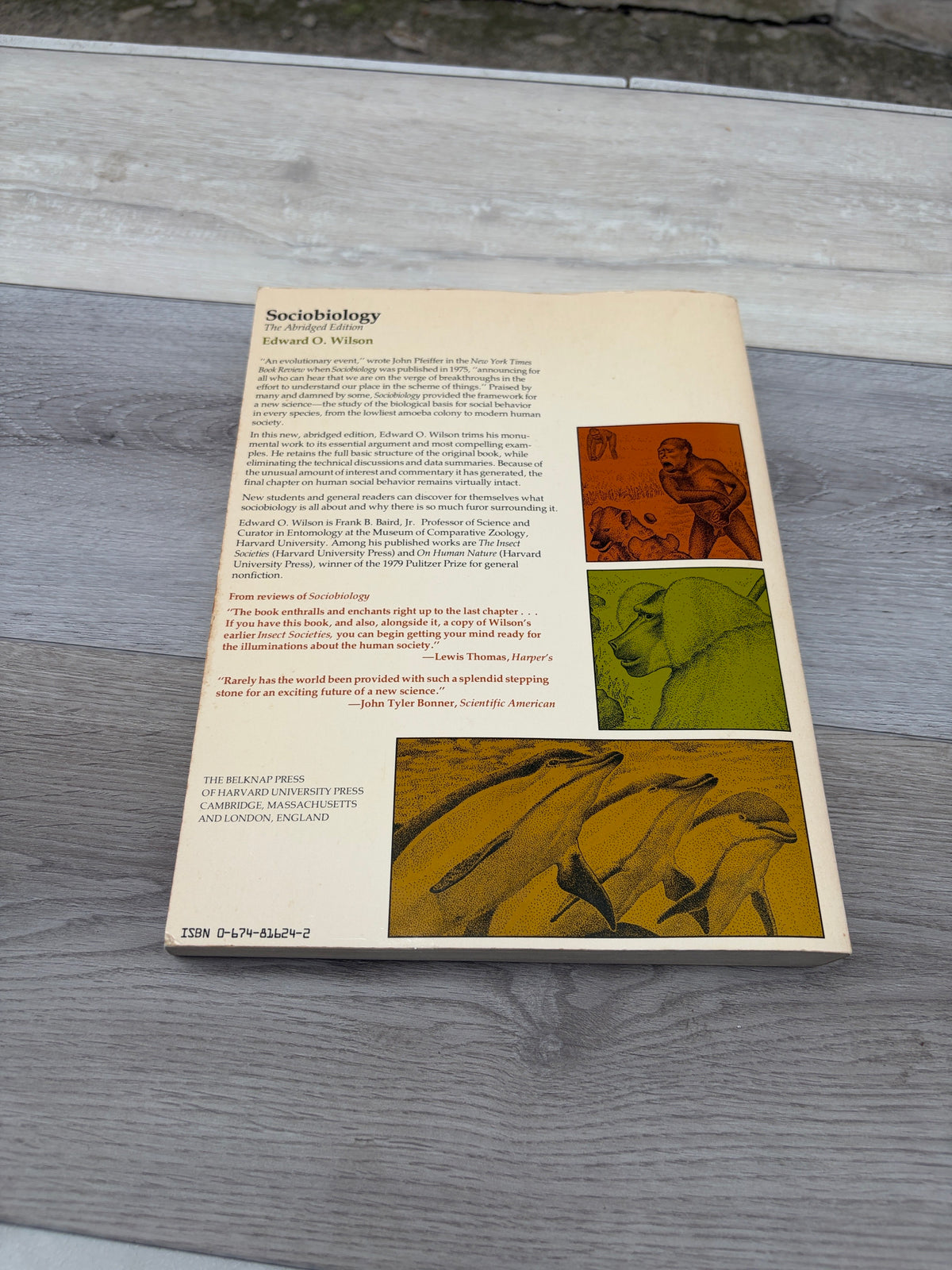Sociobiology: The Abridged Edition