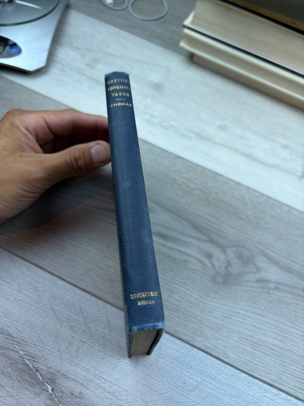 Goethe's Torquato Tasso