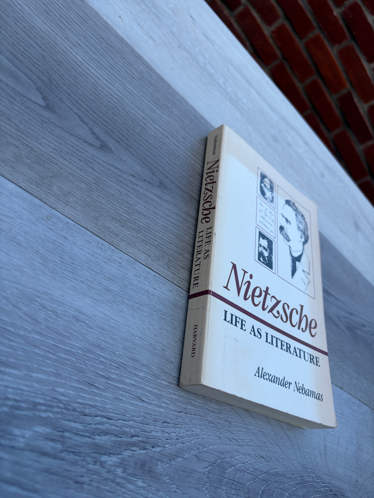 Nietzsche: Life as Literature