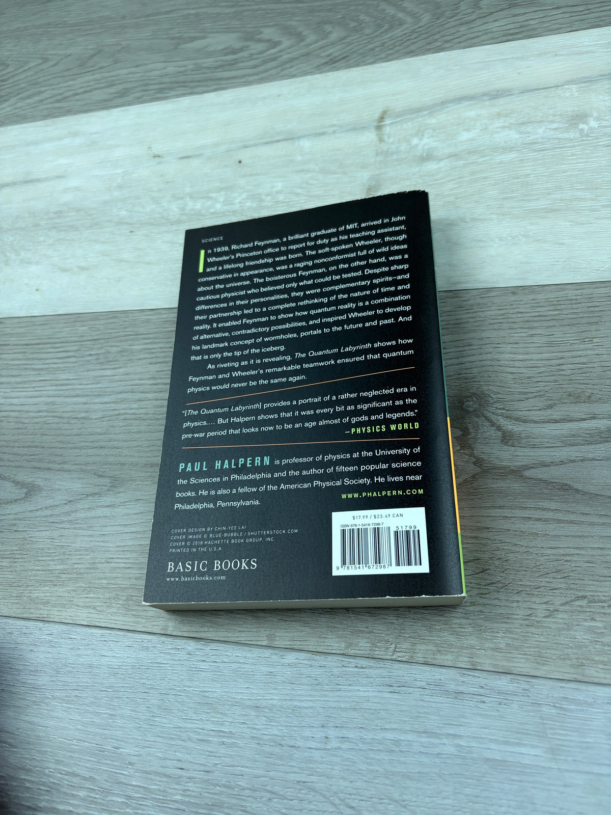 The Quantum Labyrinth: How Richard Feynman and John Wheeler Revolutionized Time and Reality
