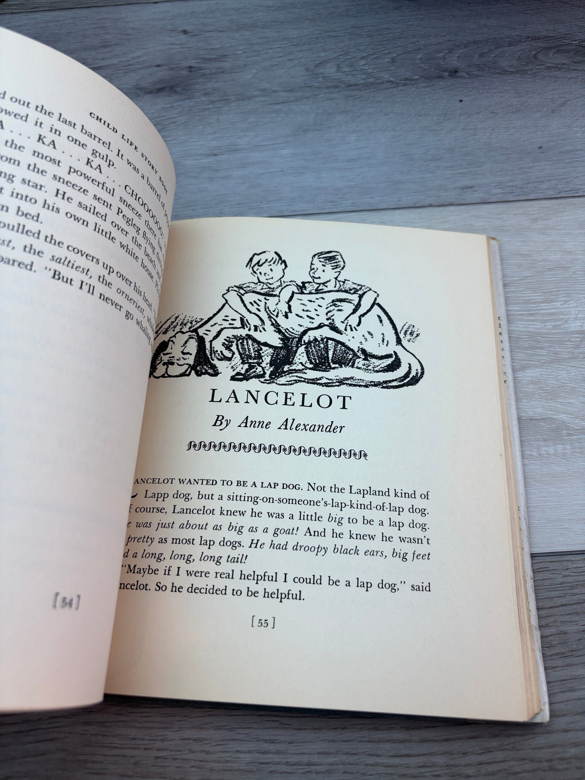 Child Life Story Book