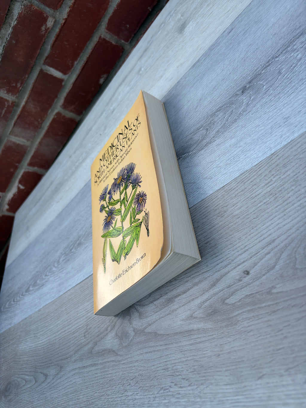 Medicinal and Other Uses of North American Plants