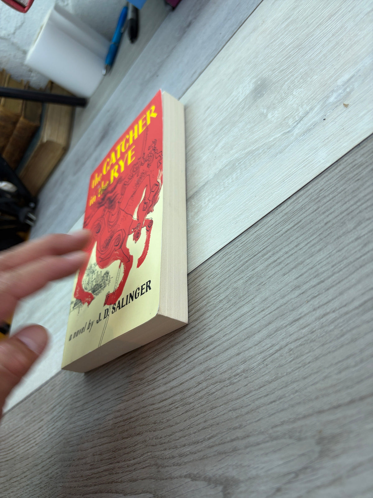 The Catcher in the Rye
