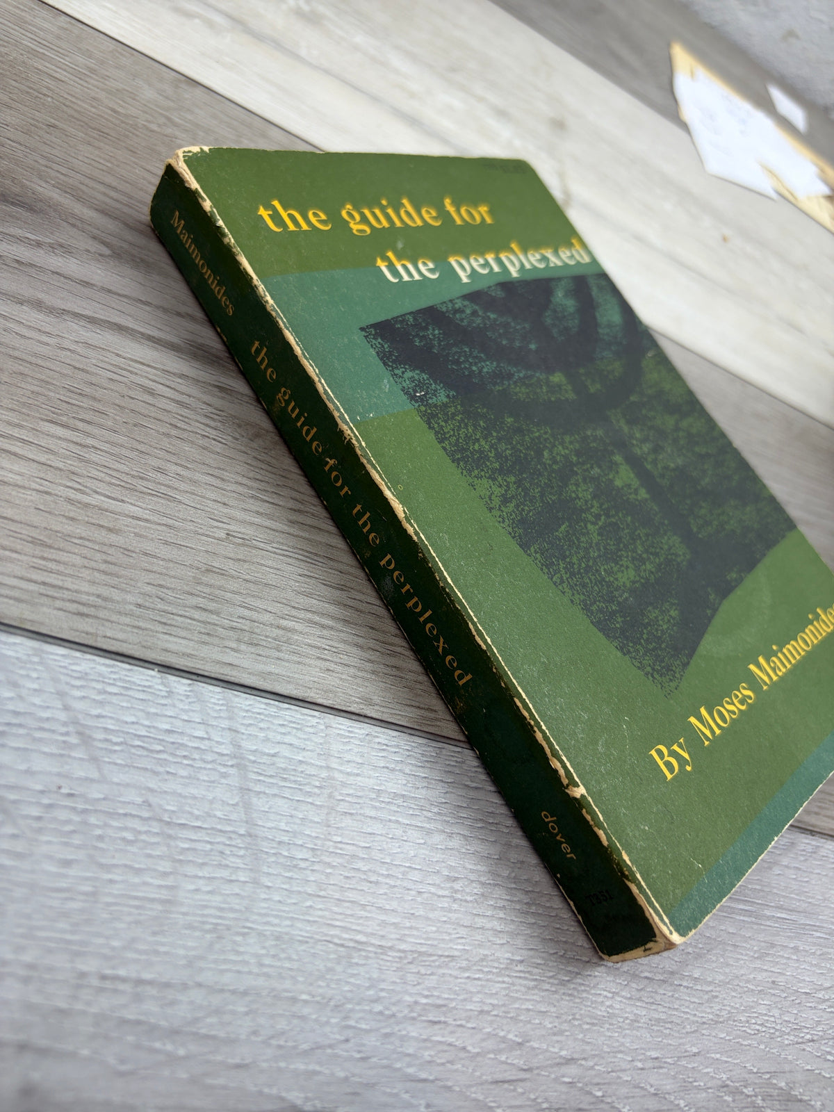 The Guide for the Perplexed