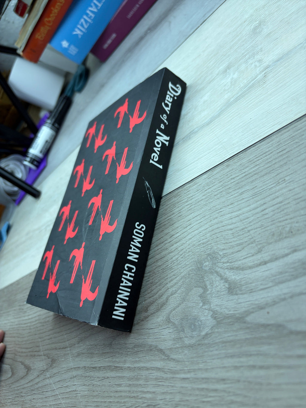 Diary of a Novel