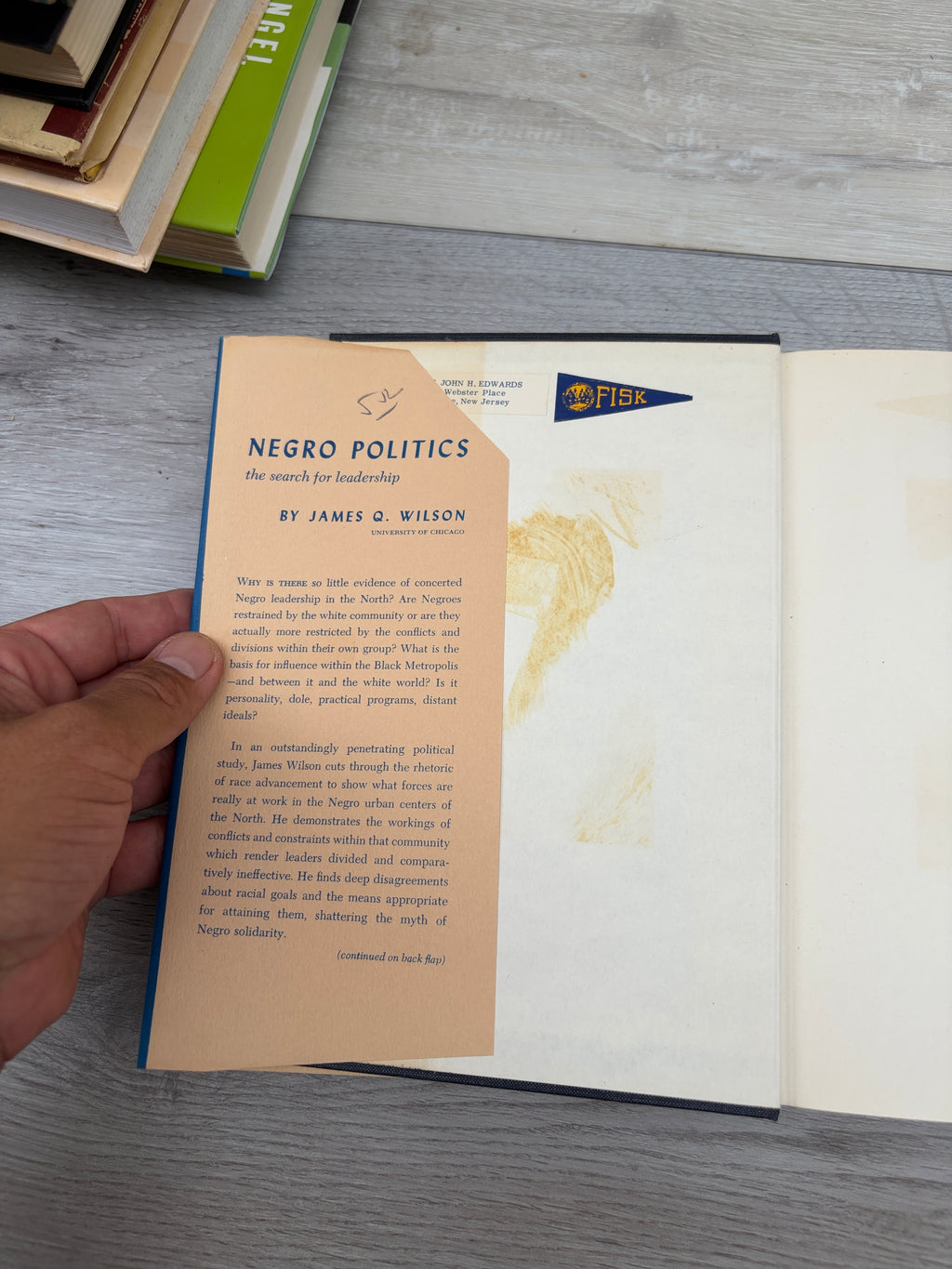 Negro Politics: The Search for Leadership