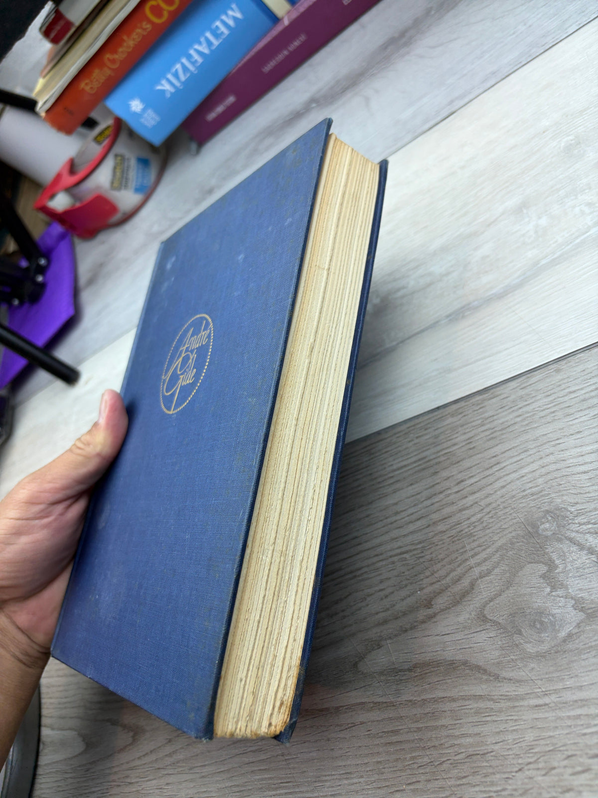 The Journals of André Gide
