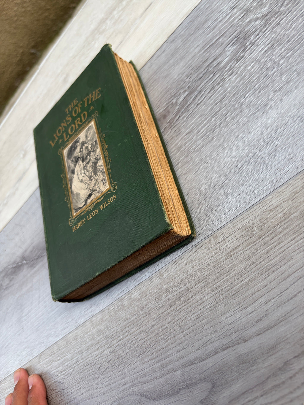 The Lions of the Lord: A Tale of the Old West