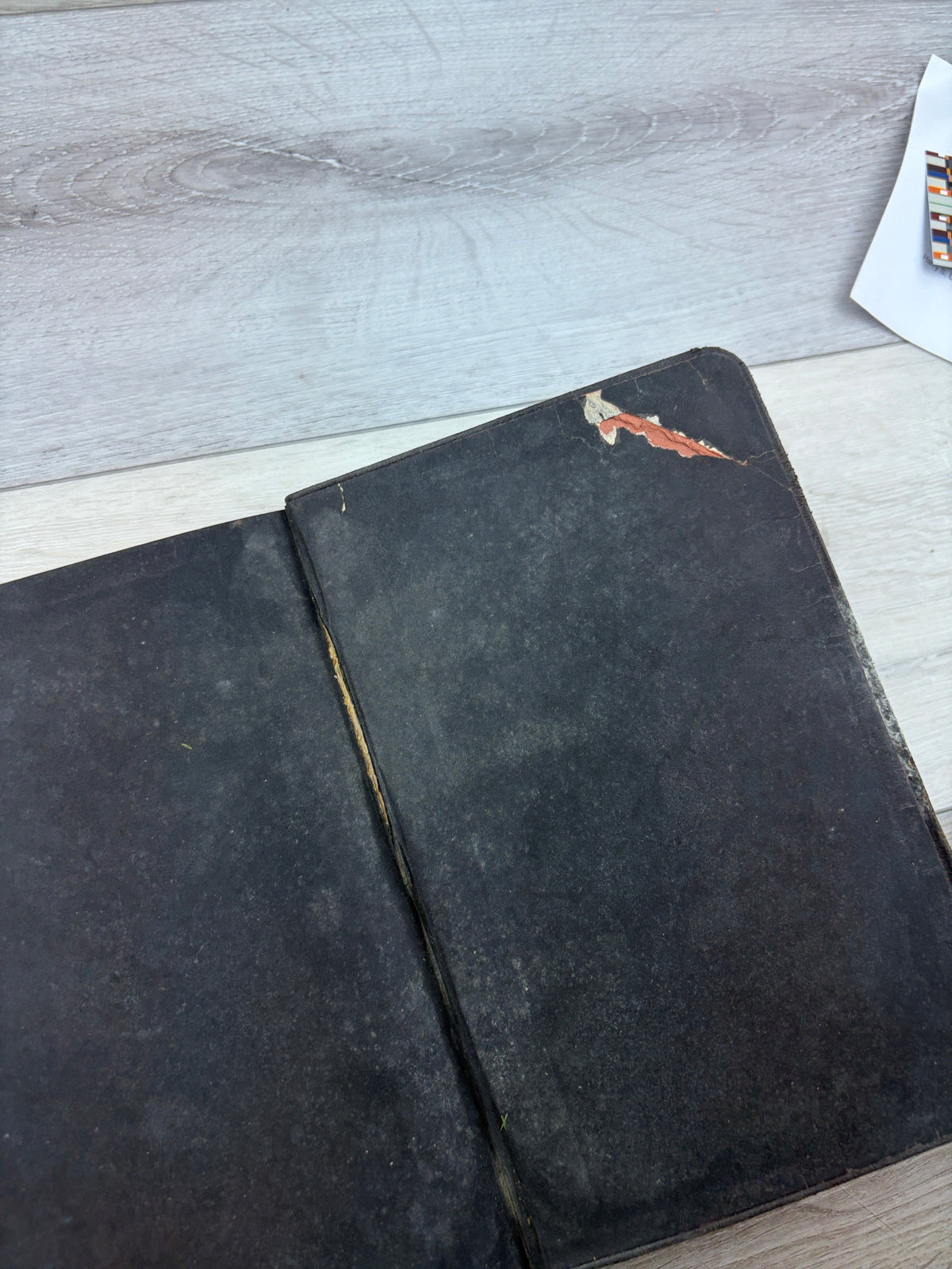 The Holy Bible