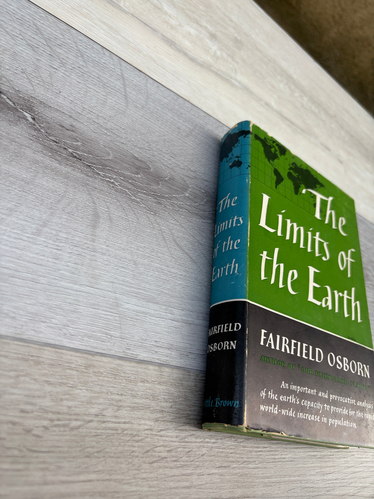 The Limits of the Earth