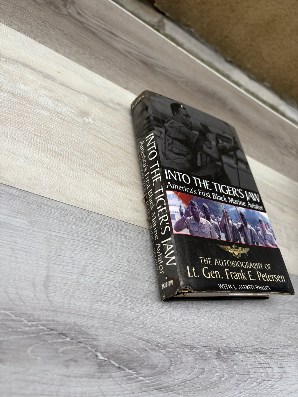 Into the Tiger's Jaw: America's First Black Marine Aviator