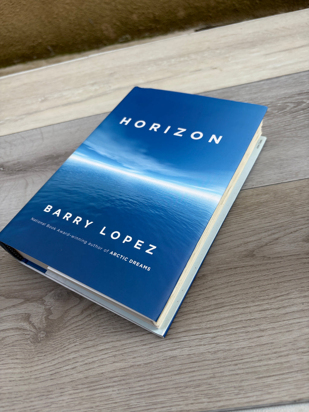 Horizon