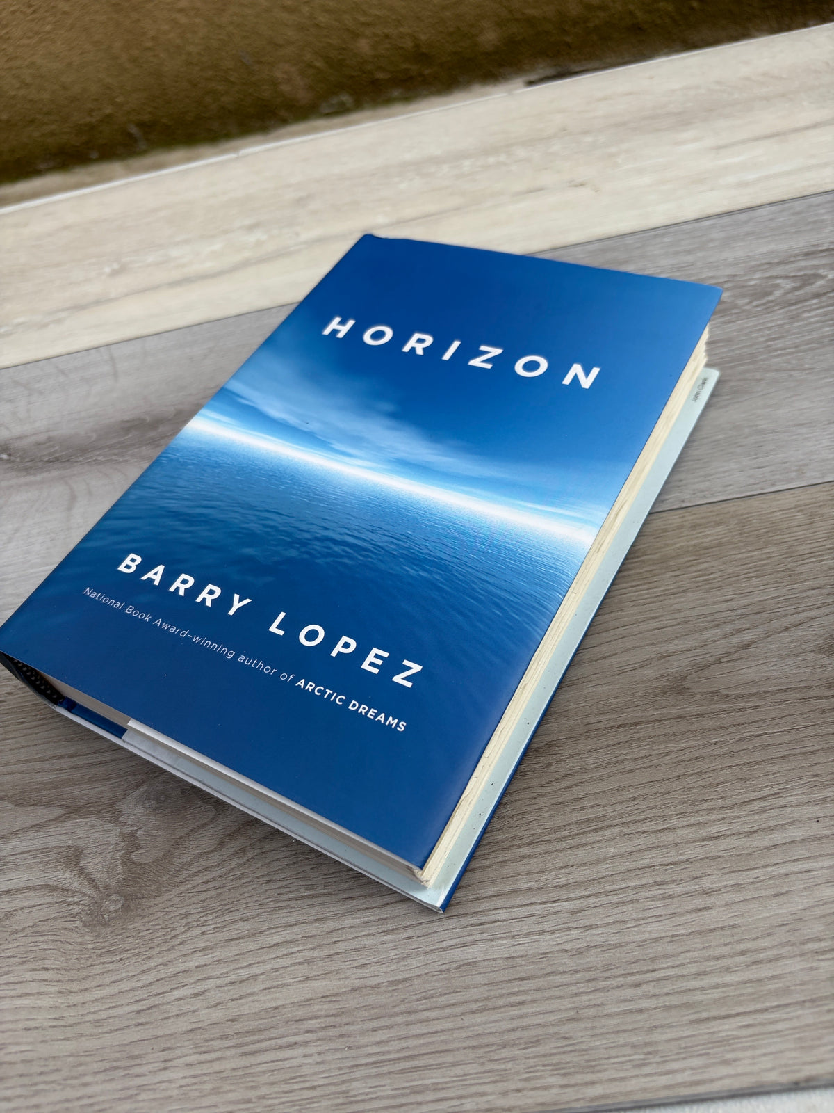 Horizon