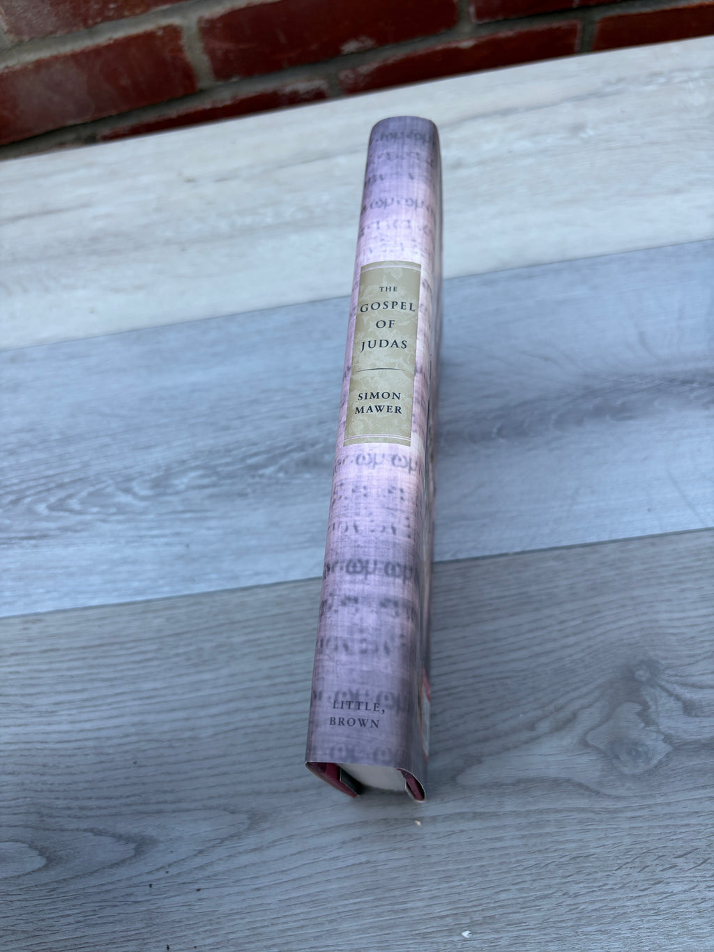 The Gospel of Judas: A Novel