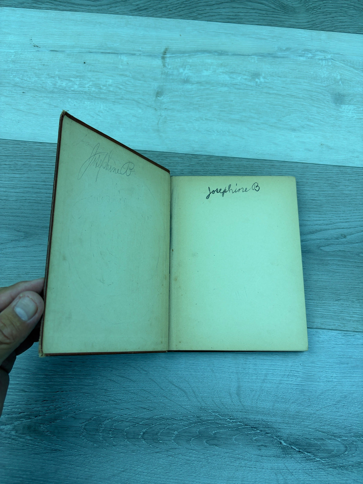 Beginners' Book in Language: A Book for the Third Grade
