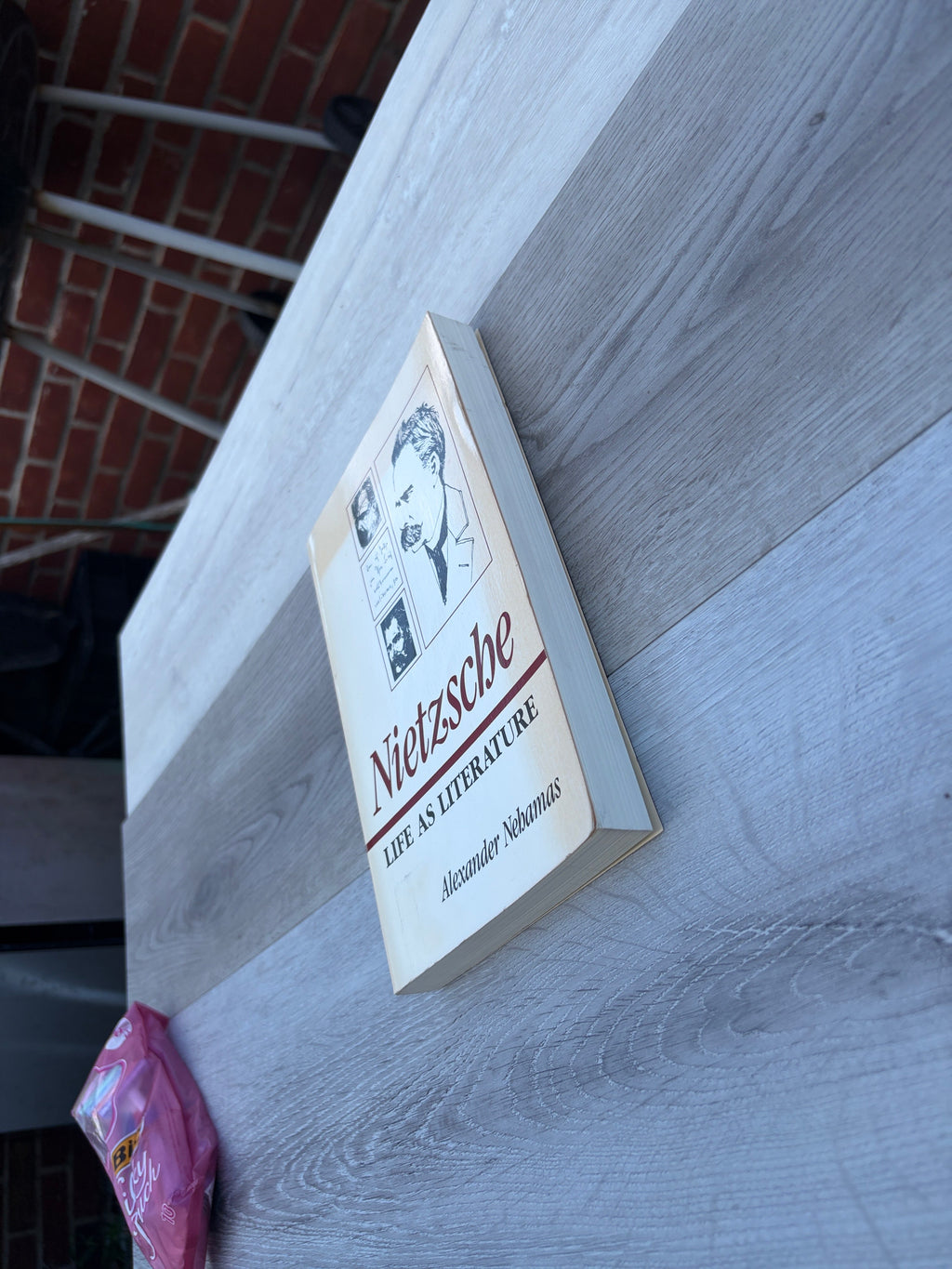 Nietzsche: Life as Literature