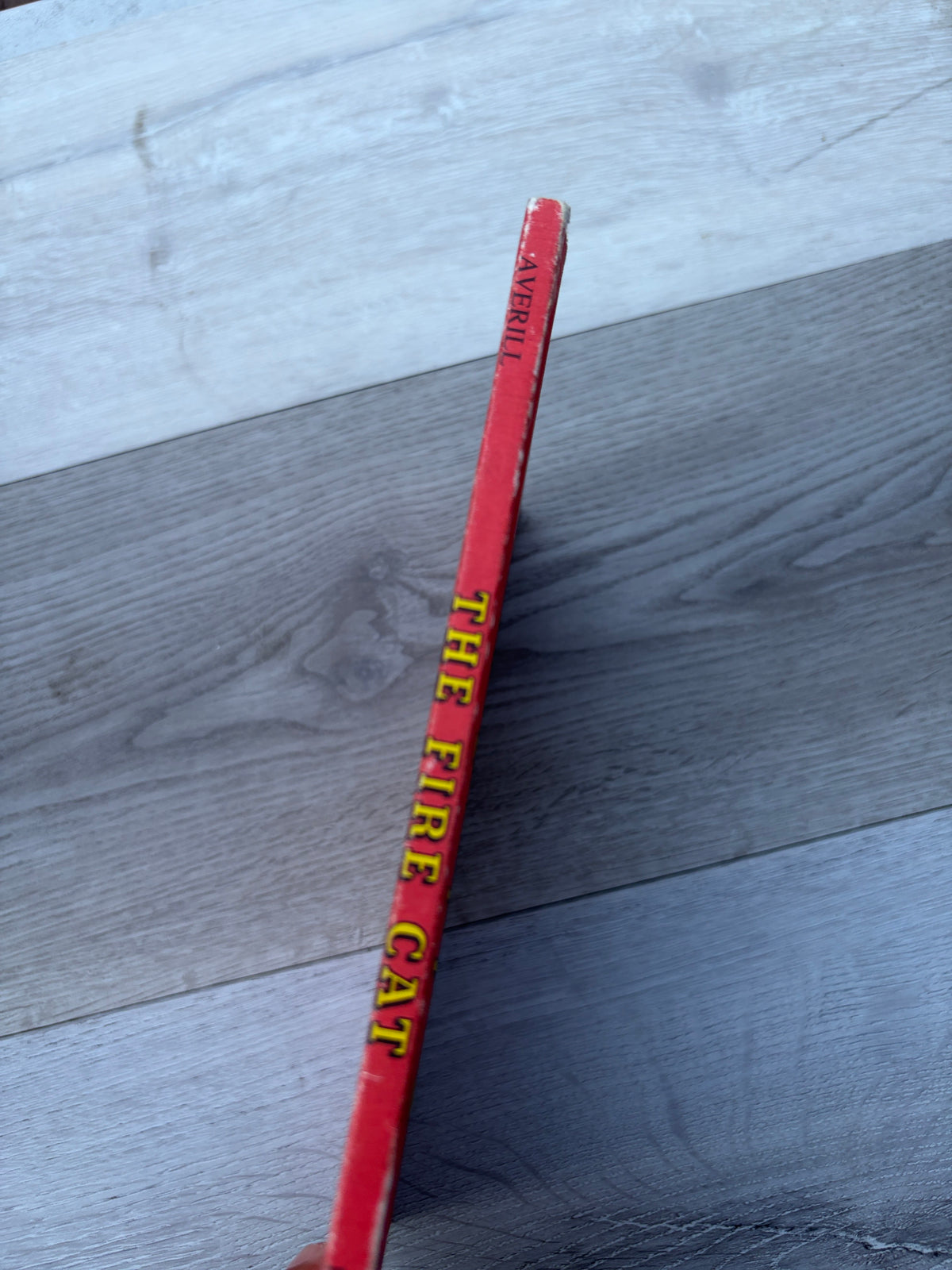 The Fire Cat