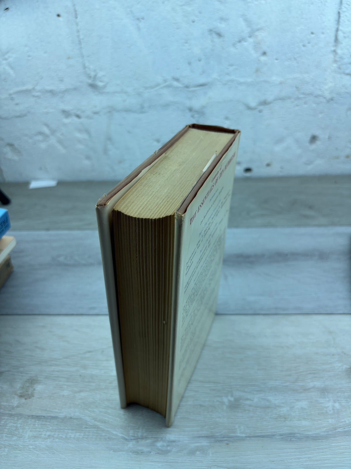 The Essentials of Zen Buddhism